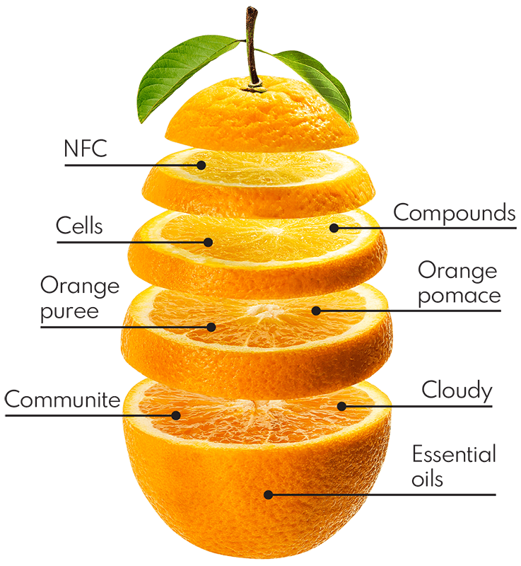 Orange applications infographic